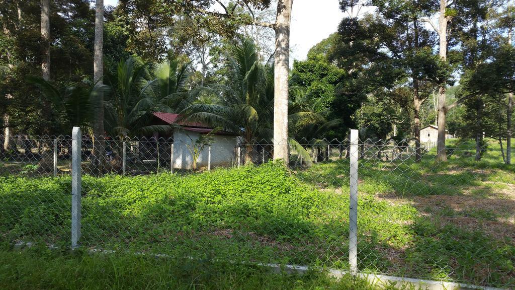Chalet Kampong Semawar Kuala Kangsar Esterno foto